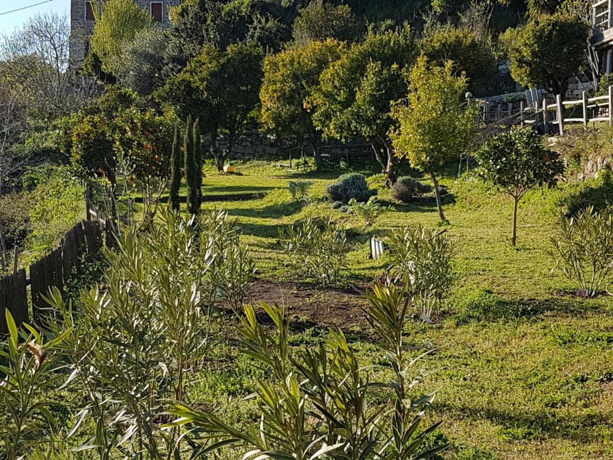 La Villa Guidi Pila-Canale Buitenkant foto