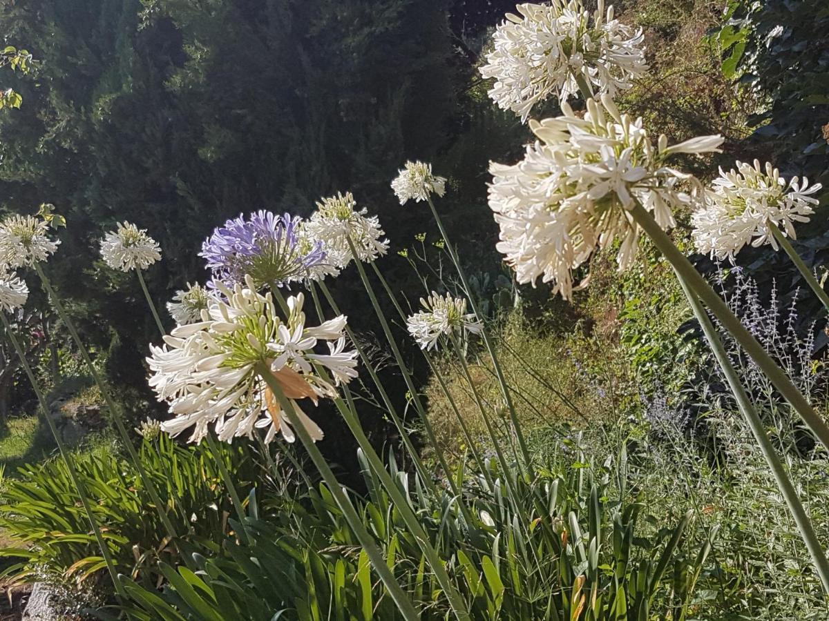 La Villa Guidi Pila-Canale Buitenkant foto
