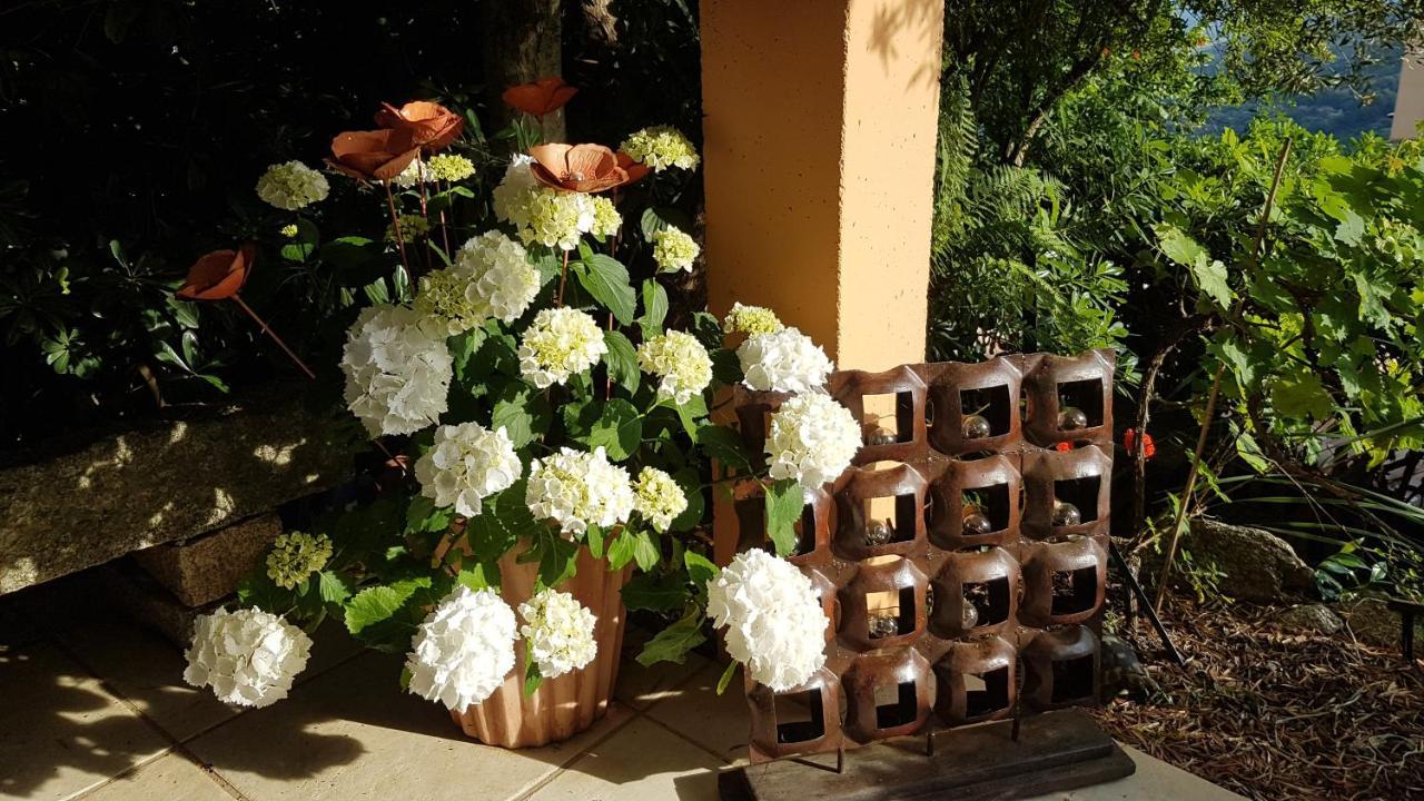 La Villa Guidi Pila-Canale Buitenkant foto